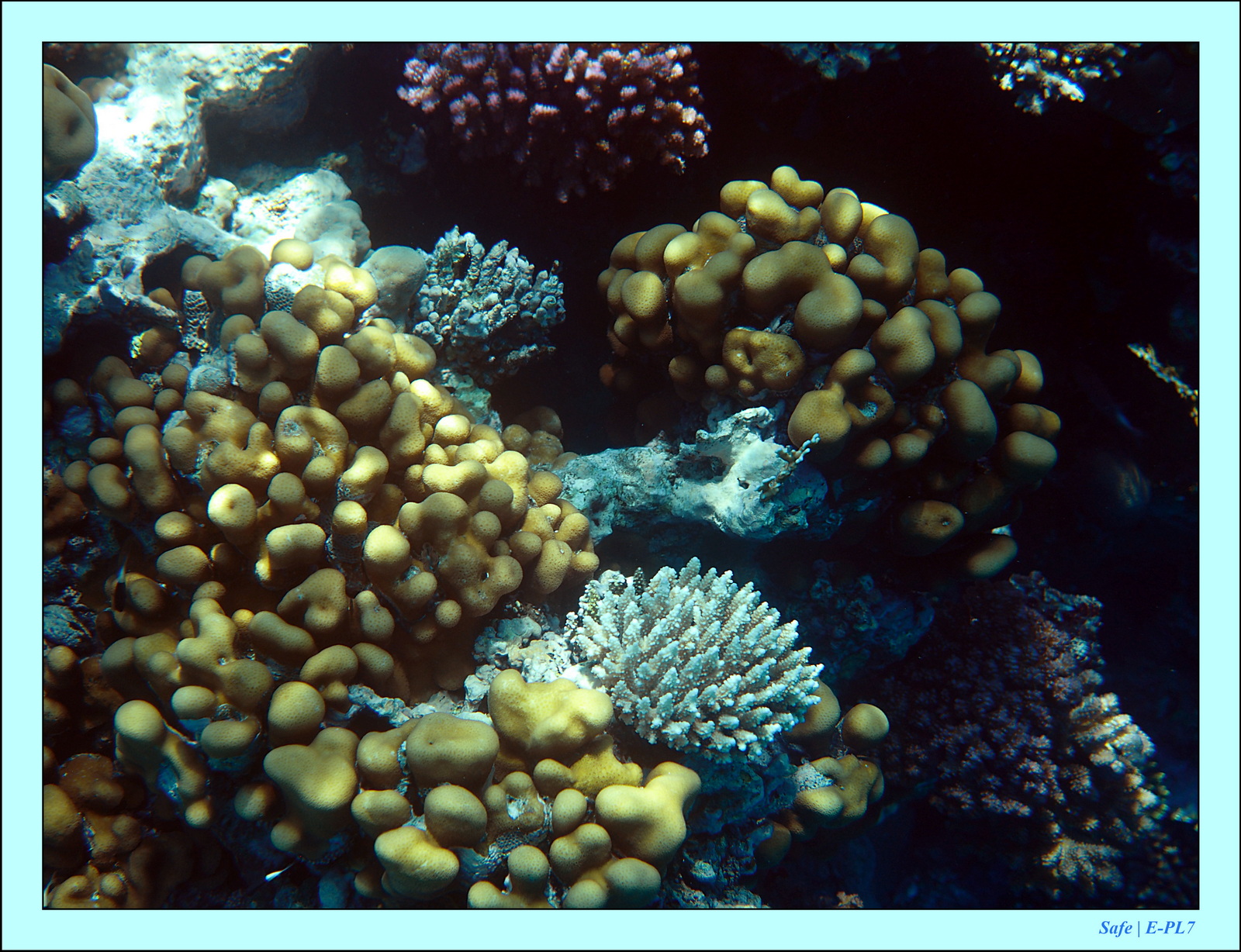 Hurghada - Aout 2021 - 026